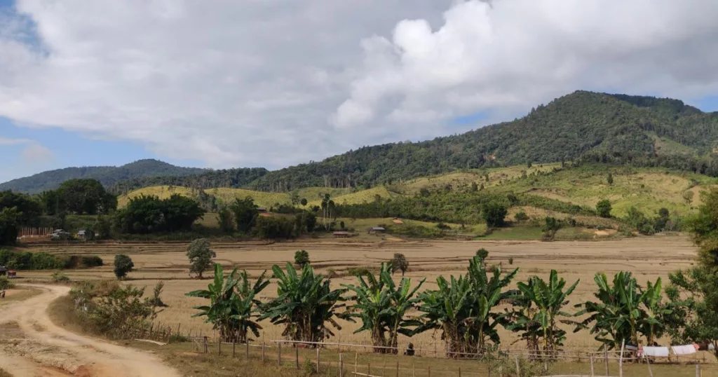 Multifunctional landscapes combine various agroecological spaces: flooded rice paddies, cattle grazing areas, annual crops on foothills, and agroforestry systems on slopes (photo: IRD - Jean-Christophe Castella)
