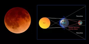 Why is the Moon copper-coloured during a total eclipse? Because Earth's atmosphere preferentially scatters away the bluer light: when the Moon is fully in the umbra, it is rendered copper-coloured (image by Prajval Shastri)