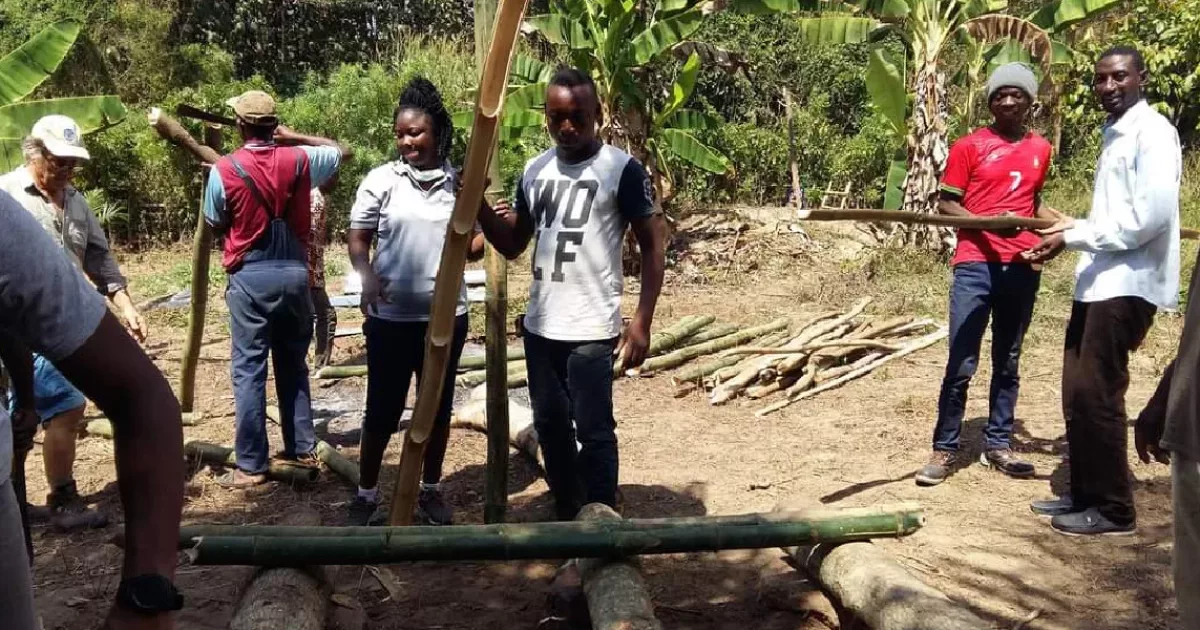 The Togolese NGO Association of Volunteers for a Healthy Environment (AVES), whose executive director is Koku Selom Agbavito, organizes community works to restore the environment The Togolese NGO Association of Volunteers for a Healthy Environment (AVES), whose executive director is Koku Selom Agbavito, organizes community works to restore the environment