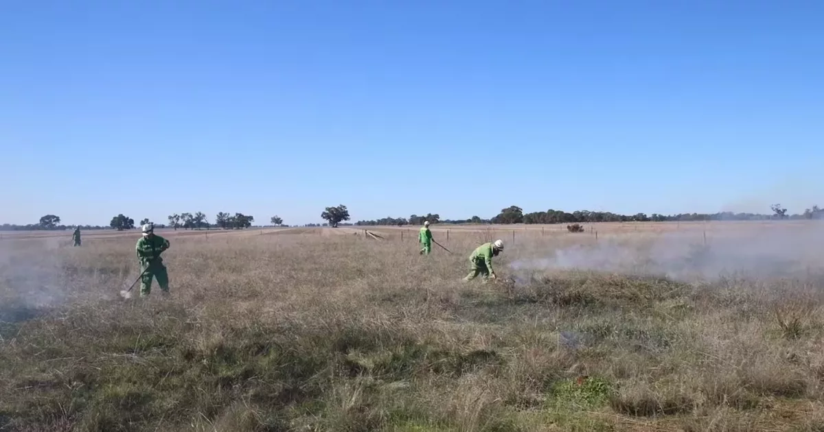 Dja Dja Wurrung Traditional Owners undertake a cultural burn in Tang Tang swamp, Victoria. AAP Image/Supplied by Department of Energy, Environment and Climate Action