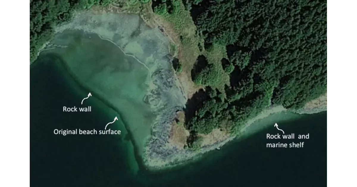 Clam gardens are made by constructing rock walls at the low tide line along the edges of bays and inlets, transforming naturally sloping beaches or rocky shorelines into productive, level beach terraces. Image: Google Earth - Text: The Clam Garden Network